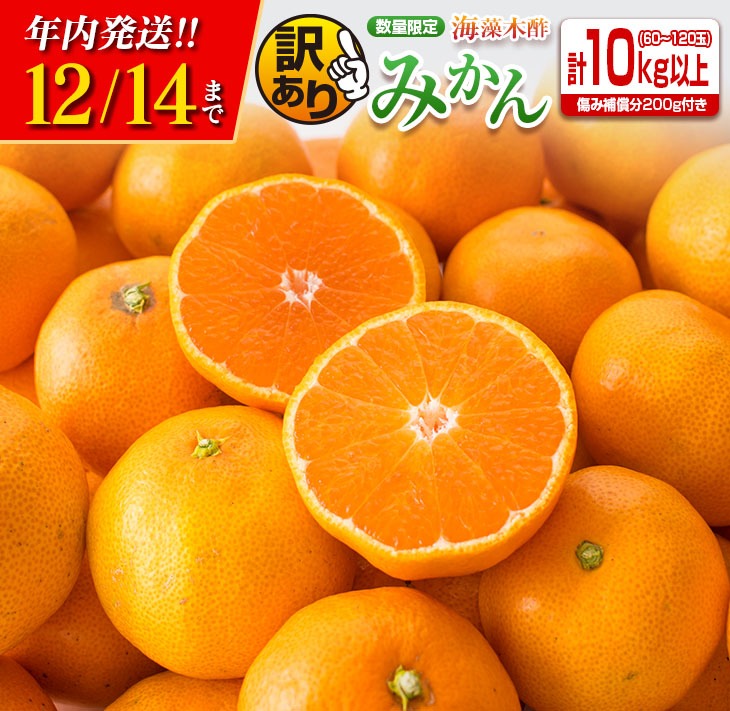 宮崎県日南市 訳あり 数量限定 海藻木酢みかん 計10kg以上 10,000円