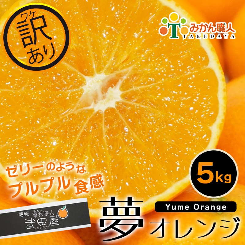 愛媛県愛南町 みかん職人の夢オレンジ5kg 15,000円