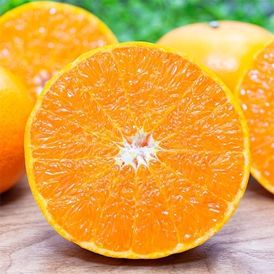 愛媛県八幡浜市 国安さんちの愛媛セトカ5kg 訳あり 13,000円