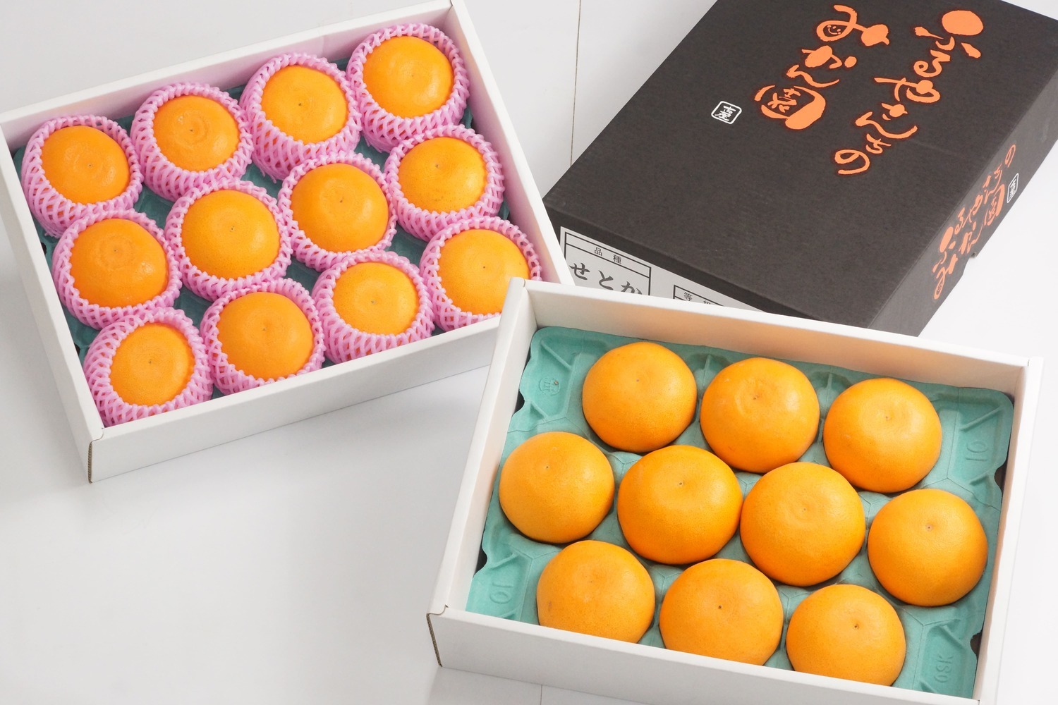 宮崎県串間市 農林水産大臣賞受賞農園! ふるやさんちの温室せとか 秀品 約3kg 7～12玉 化粧箱入 17,000円