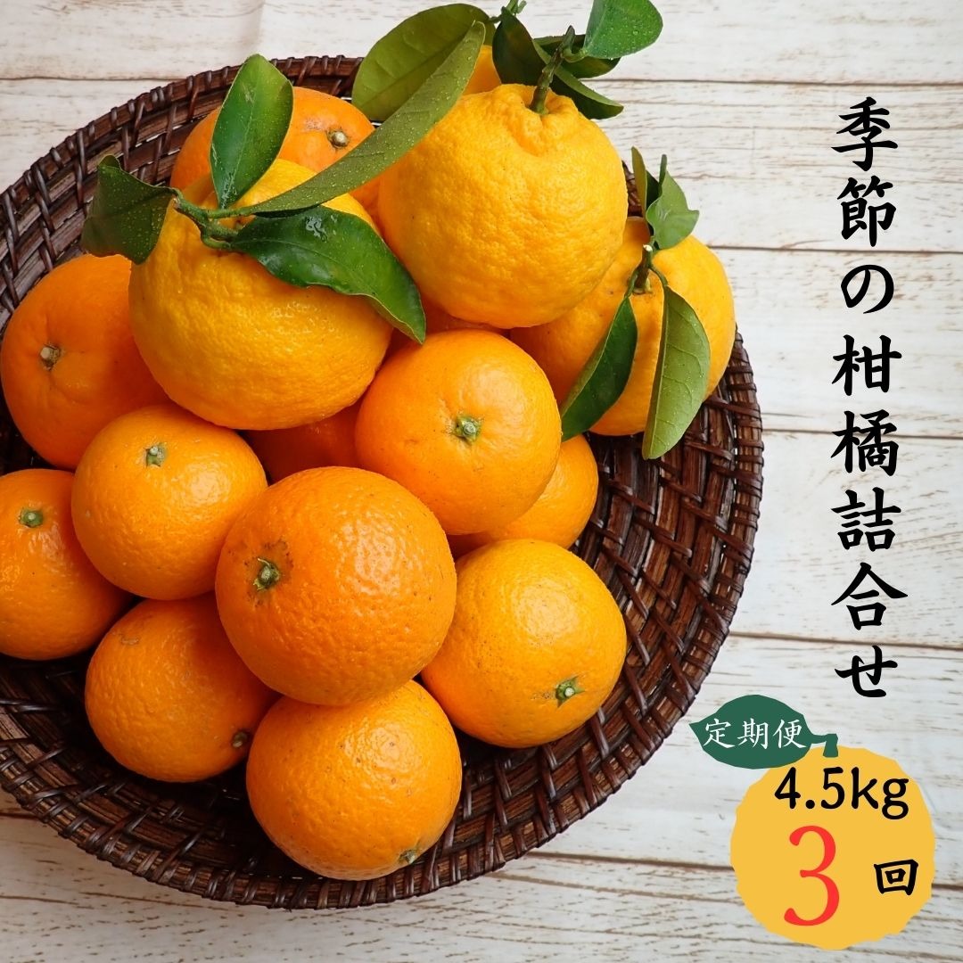 三重県熊野市 定期便3回 みかん 自然塾 季節の柑橘詰合せ 45,000円