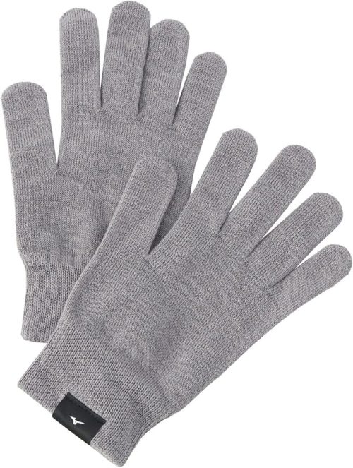 ミズノ(MIZUNO) 吸湿発熱 ブレスサーモインナーグラブ