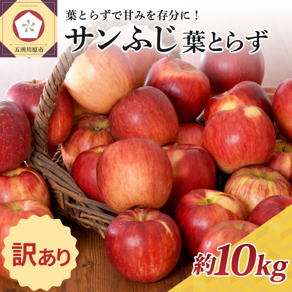 青森県五所川原市 サンふじ葉とらず 訳あり 約10kg 17,000円