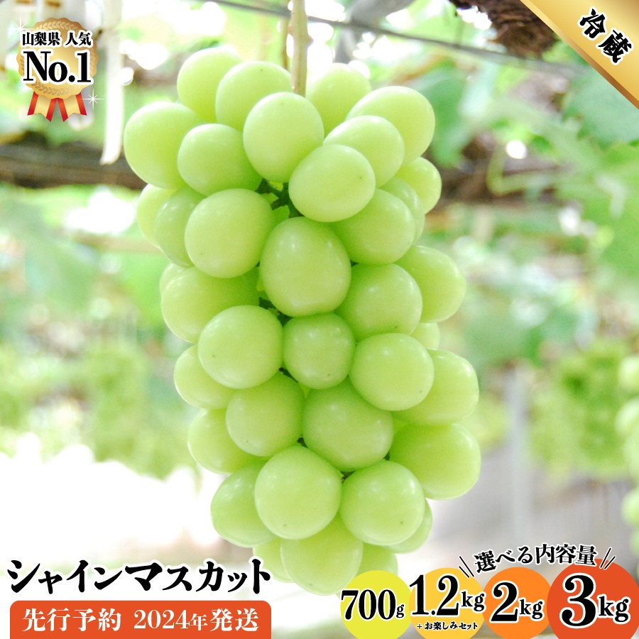 山梨県富士吉田市 シャインマスカット 1.2kg 13,000円
