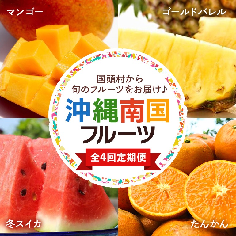 沖縄県国頭村 南国フルーツ定期便 全4回 49,000円
