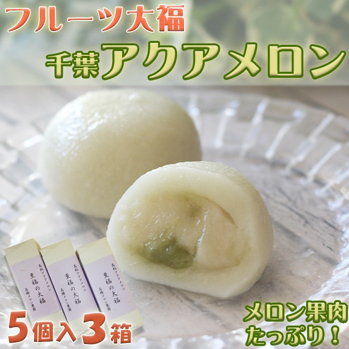 千葉県鴨川市 フルーツ大福 千葉アクアメロン 5個入り3箱 10,000円