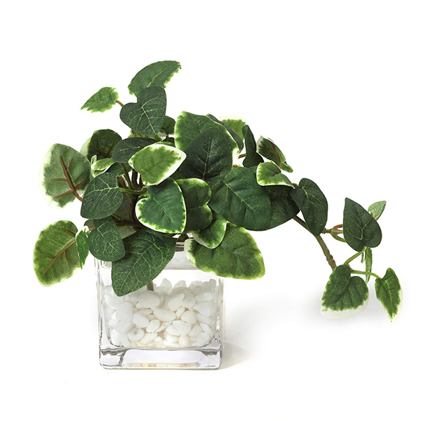 プリマ(PRIMA) ウォーターキューブ PRGR-1302