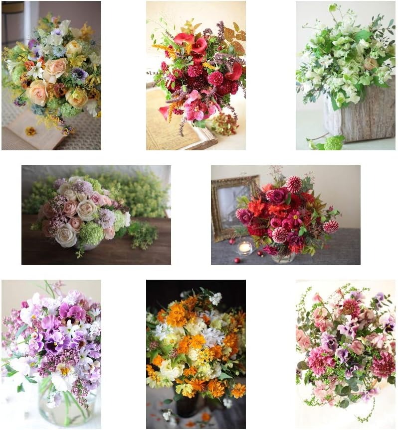 ビューティフルボーイ(Beautiful Boy) 花屋が作ったオリジナルポストカード 8枚セット Set3