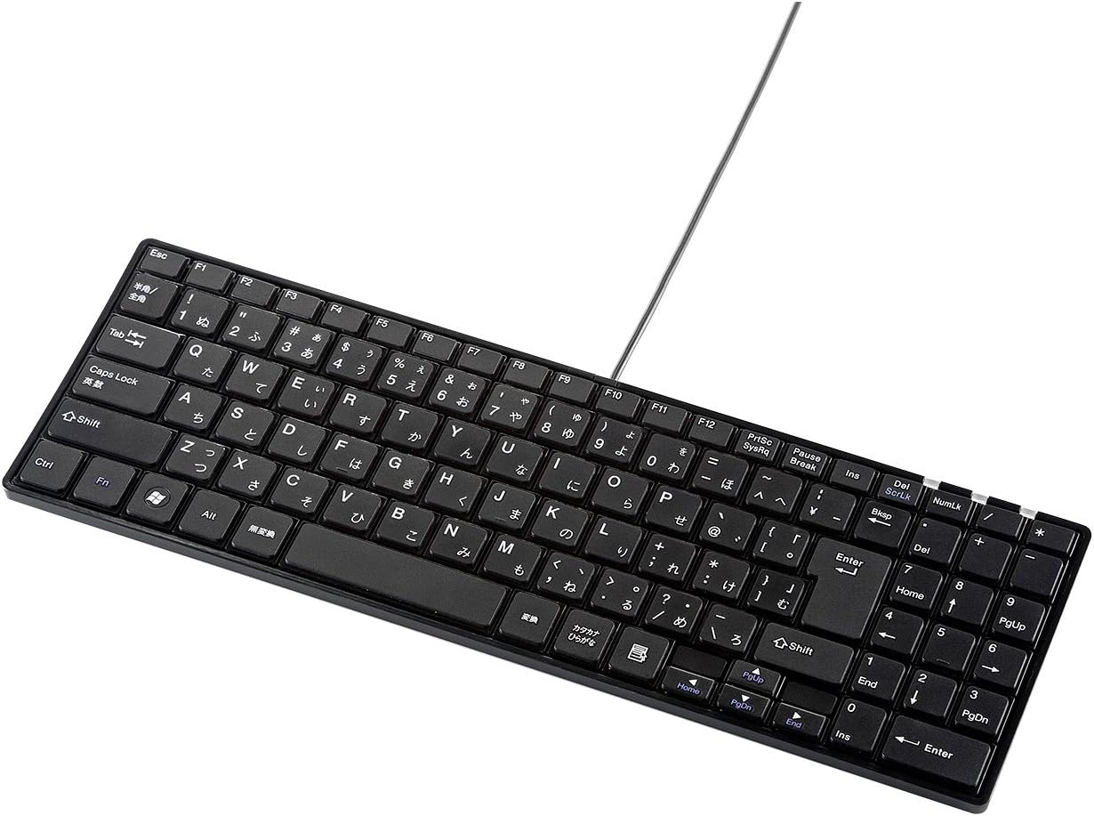 サンワサプライ(SANWA SUPPLY) 静音スリムキーボード SKB-SL19BK