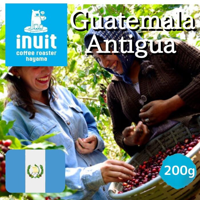 イヌイットコーヒーロースター(inuit coffee roaster) グアテマラ アンティグア