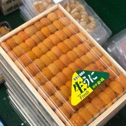 Okawari 特上ウニ 並び 北海道浜中産 エゾバフンウニ