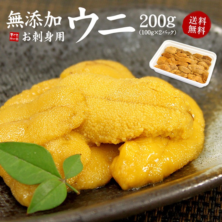 まぐろ処一条 お刺身生ウニ