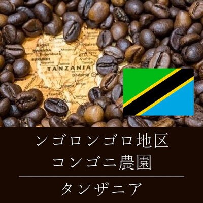 ニシナ屋珈琲 タンザニア ンゴロンゴロ地区 コンゴニ農園