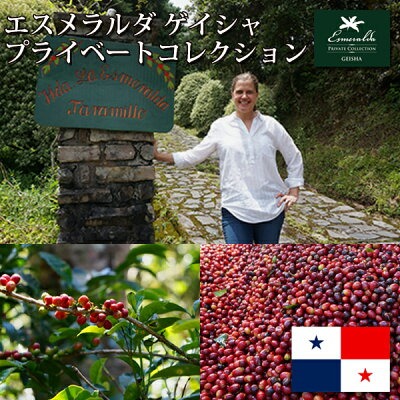 ニシナ屋珈琲 パナマ エスメラルダ ゲイシャ プライベートコレクション
