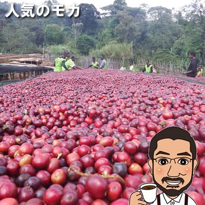 しげとし珈琲 エチオピア・モカ・イルガチェフェ