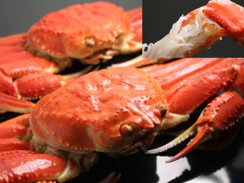 名産工房旬 福井 越前がに