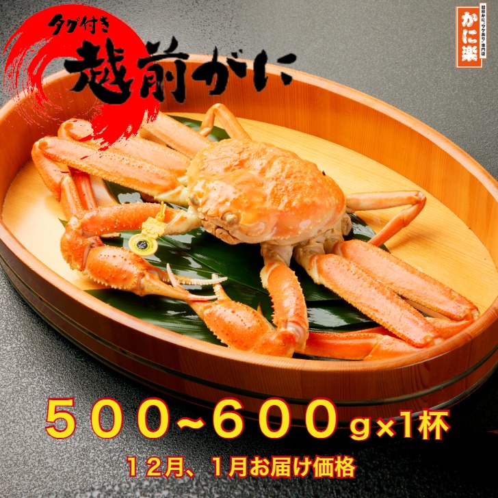 かに楽 わけあり越前がに