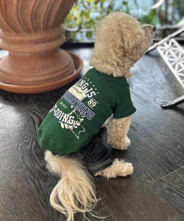 アズノゥアズ デワン(as know as de wan) デカっとロゴトレーナー