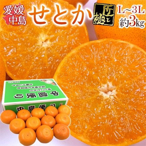 小西青果 愛媛中島産 中島便り せとか 匠と極 L～3L 約3kg