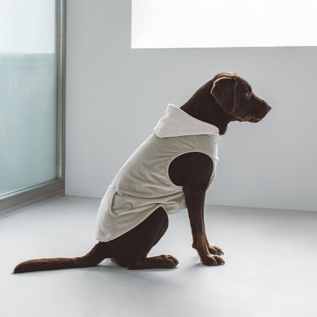 フリーステッチ(free stitch) ベロアフーディ FA-32321