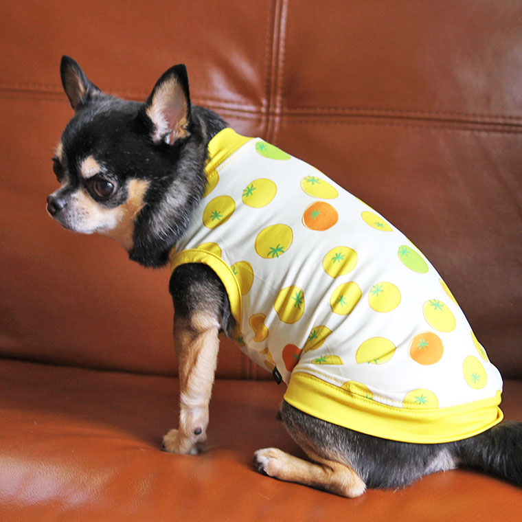 IDOG&ICAT iDog  COOL Chillフレッシュタンク