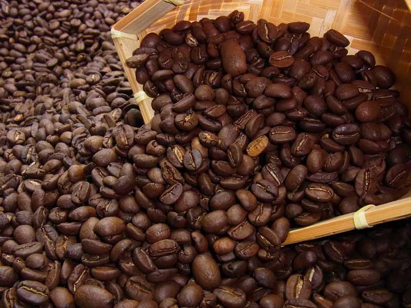 ジエットコーヒー 自家焙煎 ニカラグア