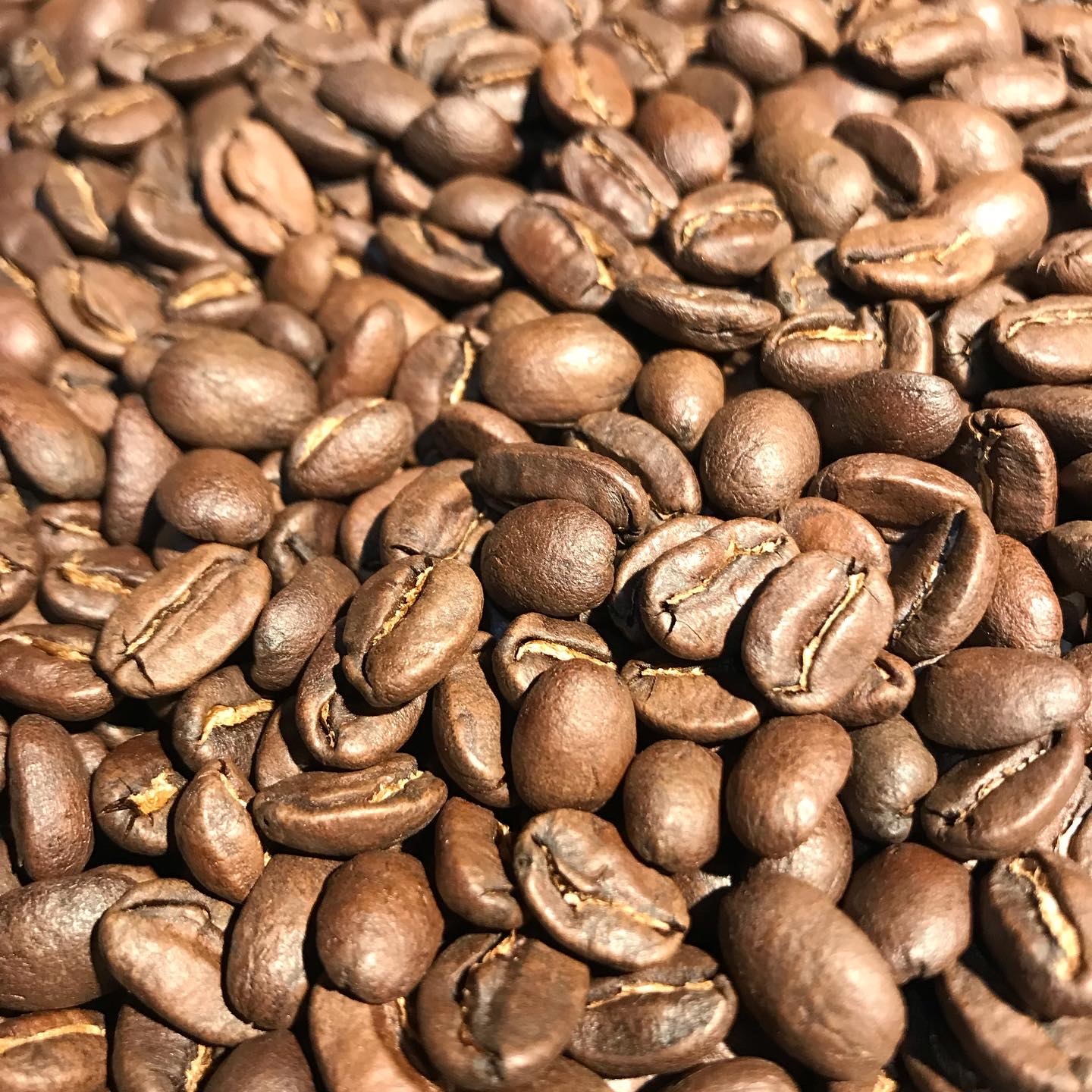 三軒茶屋珈琲redclover ニカラグア 薔薇色の人生