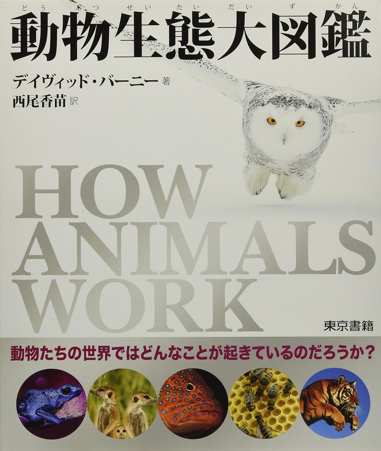 東京書籍 動物生態大図鑑