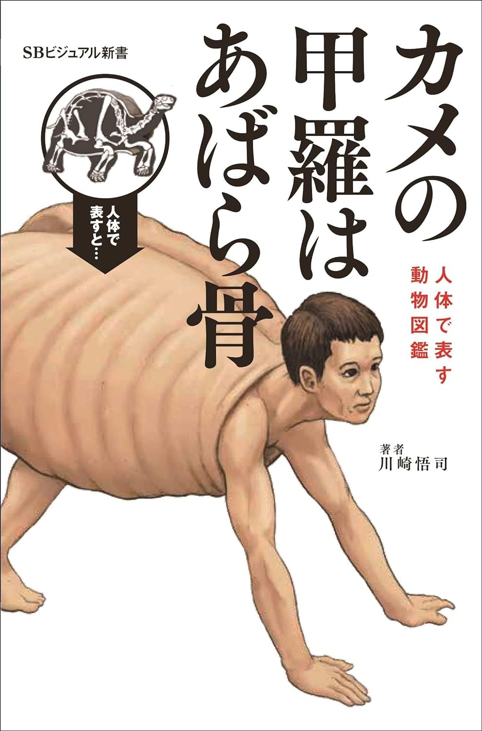 SBクリエイティブ カメの甲羅はあばら骨