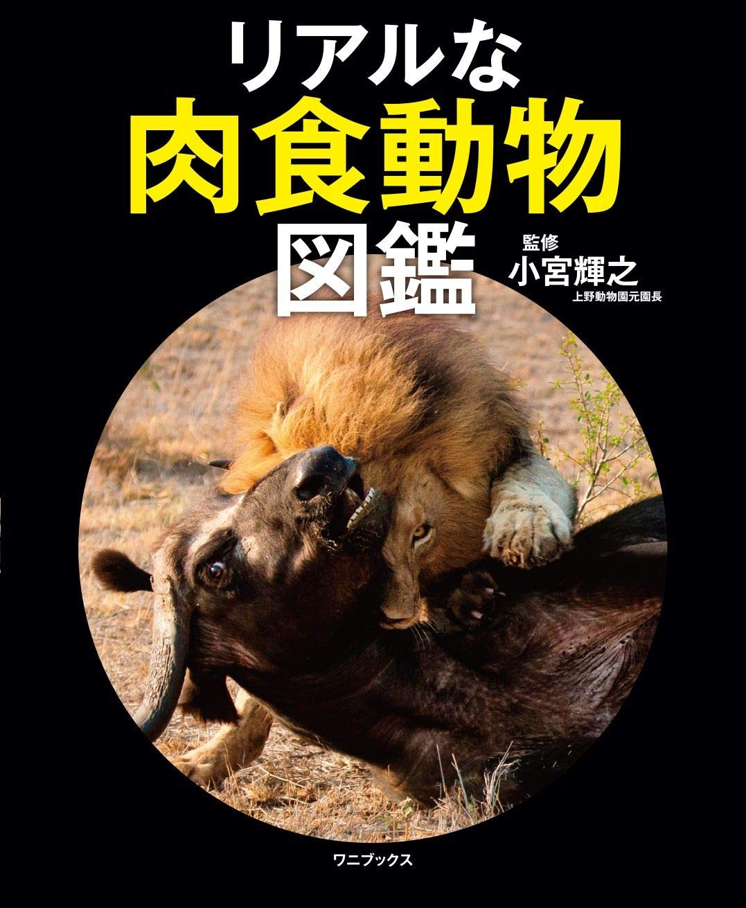 ワニブックス リアルな肉食動物図鑑