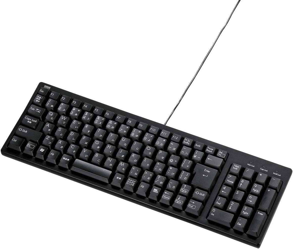 サンワサプライ(SANWA SUPPLY) コンパクトキーボード SKB-KG2BKN2