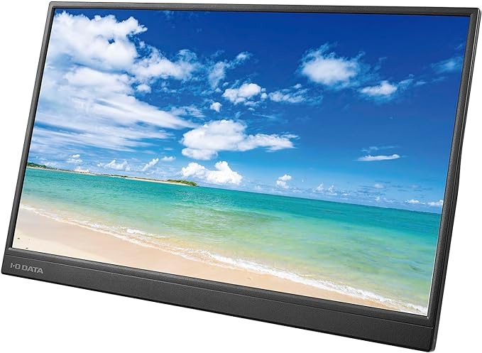 JAPANNEXT 17.3インチ モバイルモニター JN-MD-IPS173UHDR 2023