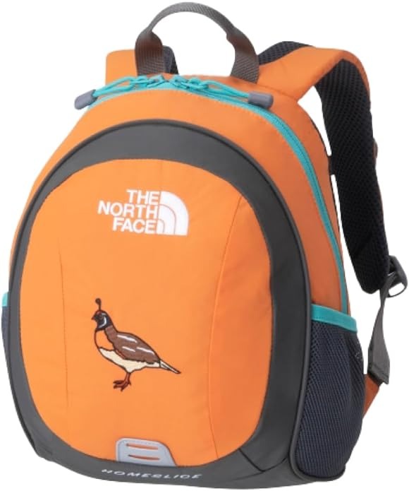 THE NORTH FACE ホームスライス キッズ NMJ72361