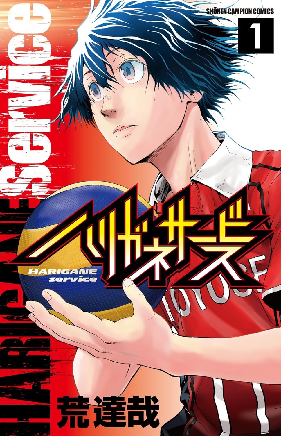 ハリガネサービス