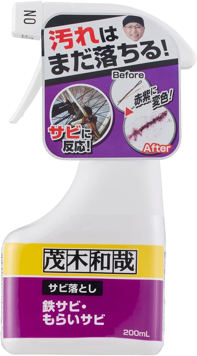 レック(LEC) 茂木和哉 サビ落とし