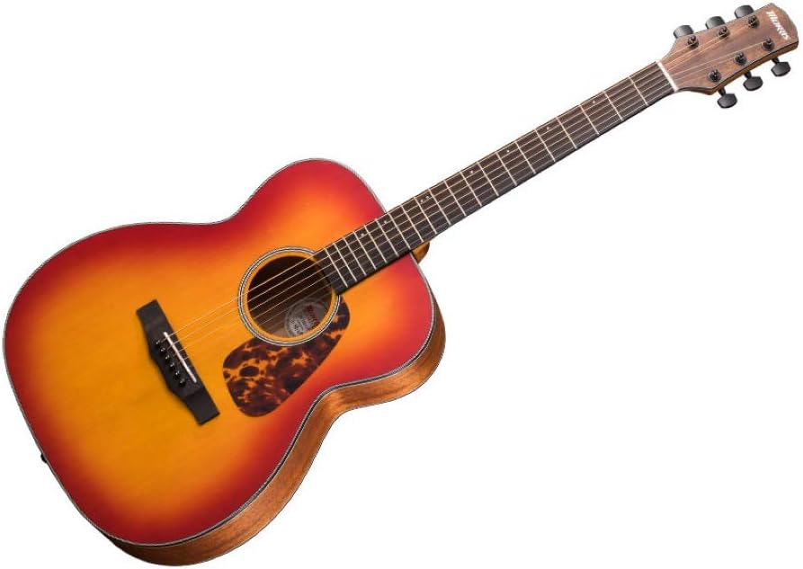 モーリス(Morris) アコースティックギター F-021