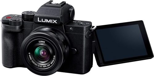 パナソニック(Panasonic) LUMIX G100D DC-G100D 2024