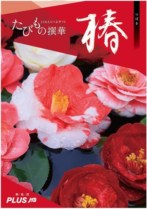 JTB JTBえらべるギフト たびもの撰華 椿