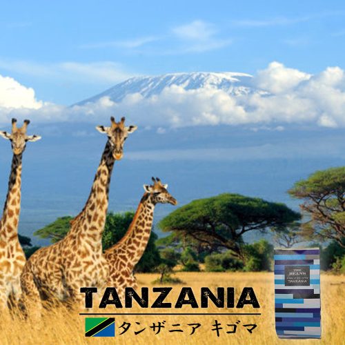 バロッコ(BALOCCO) THE BEANS タンザニア 草原の雫