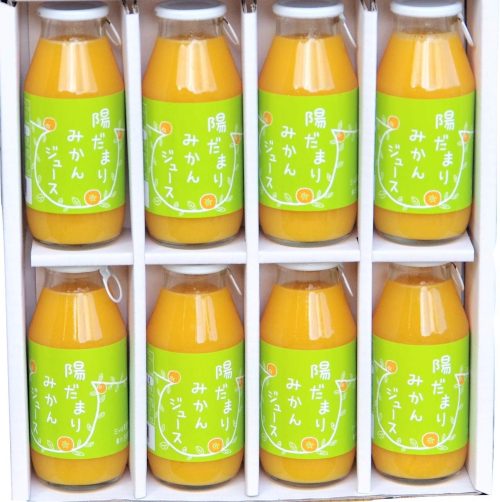 陽だまりファーム 三ヶ日青島みかんジュース ストレート100%