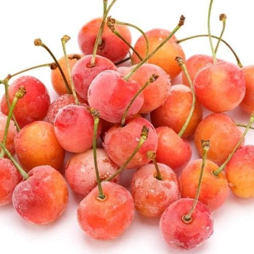 北のデリシャス 山形県産 冷凍フルーツ さくらんぼ 佐藤錦