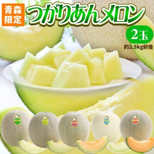 かめあし 青森県産 つがりあん メロン 2玉 約2.5Kg前後 L~2Lサイズ