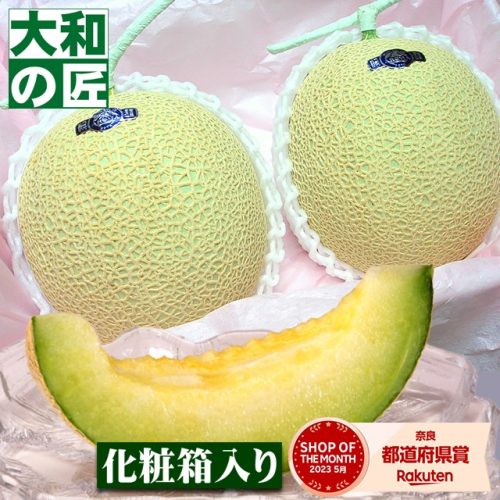 松美園 マスクメロン 2個入り化粧箱