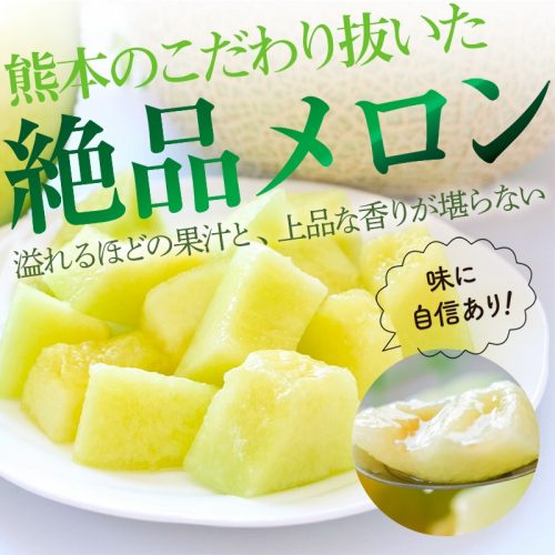 肥後中村屋 メロン タカミメロン 熊本産 2玉 2L 秀品