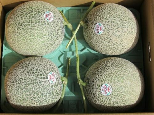 フルーツ大田 北海道産メロン JAきょうわ らいでんメロン 赤肉 秀品 4玉又は5玉