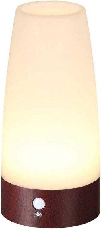 Lifeholder 人感&明暗センサーライト 2017