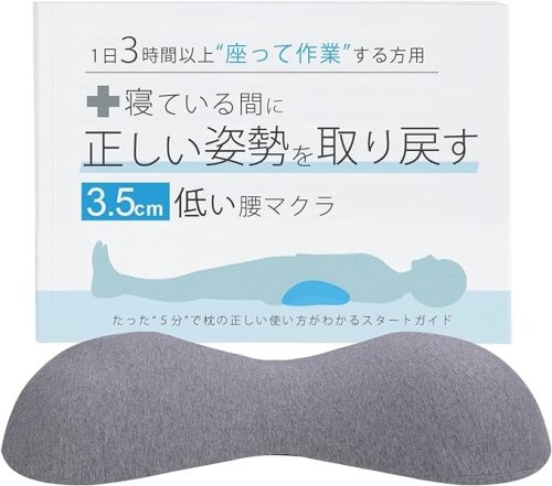 大人のカラダ改善計画 1日3時間以上座って作業する方用 3.5cm低い腰枕