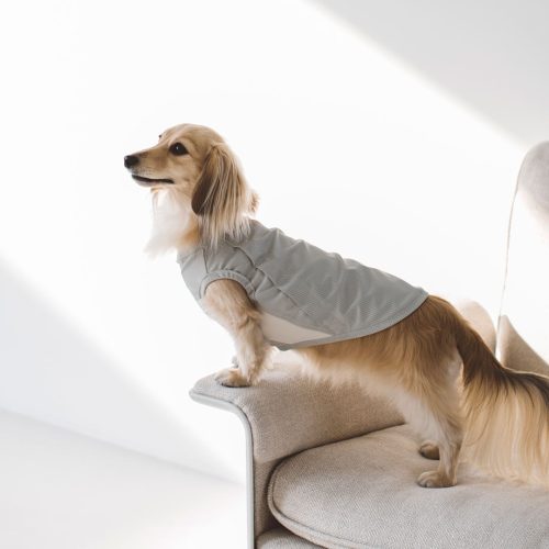 フリーステッチ(free stitch) ドットエアベンチレーションシャツ