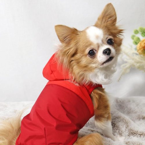 IDOG&ICAT STORM REACT 完全防水ウインドブレーカー