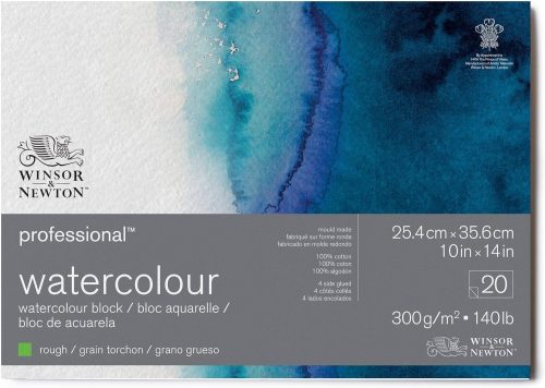 ウィンザー&ニュートン(Winsor&Newton) プロフェッショナル水彩紙 荒目19102011